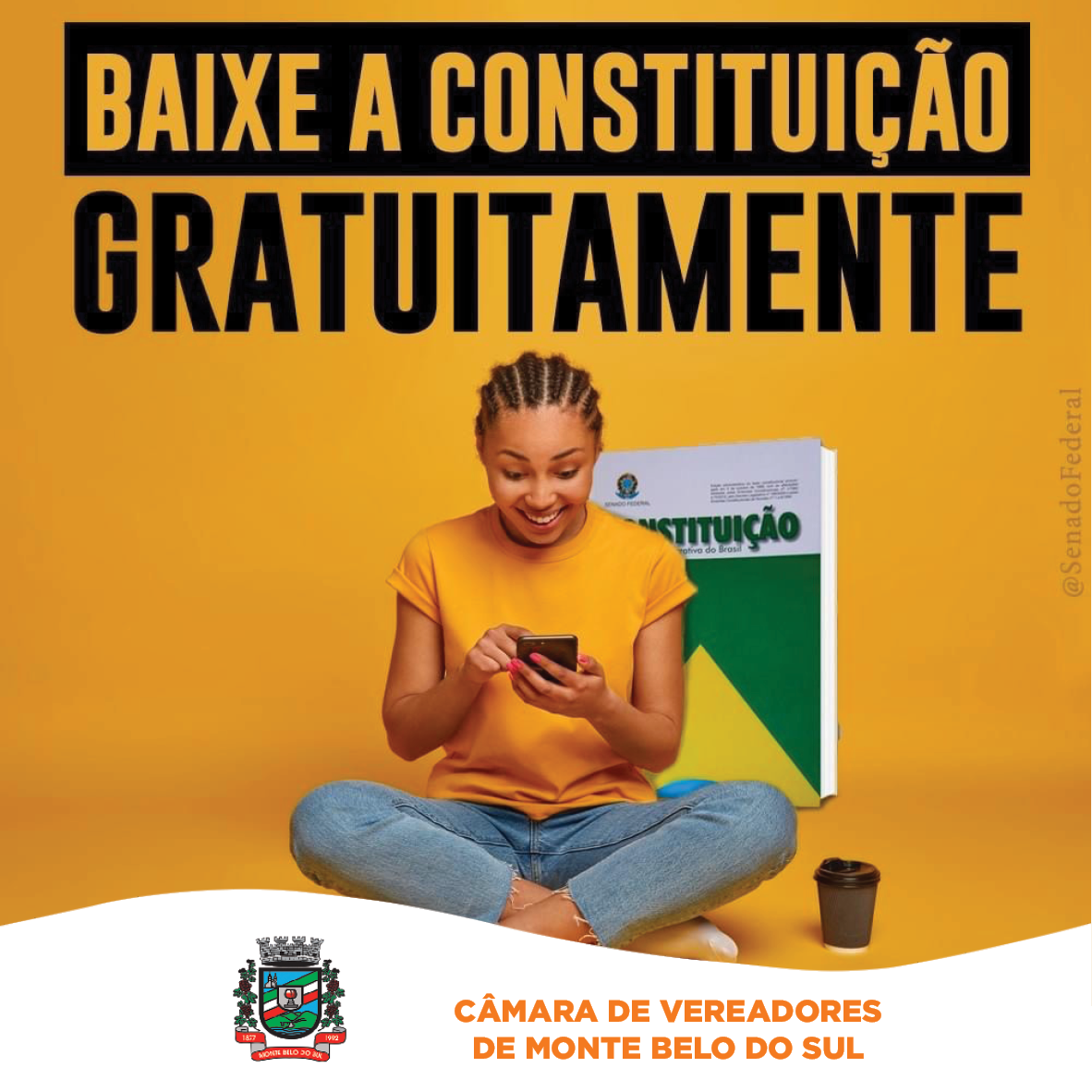 Baixe a Constituição gratuitamente 