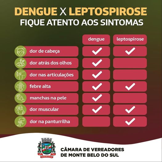 Dengue 