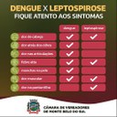 Dengue 