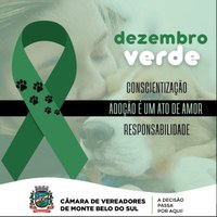 Dezembro Verde: Mês de Conscientização Contra o Abandono e Maus-Tratos de Animais 