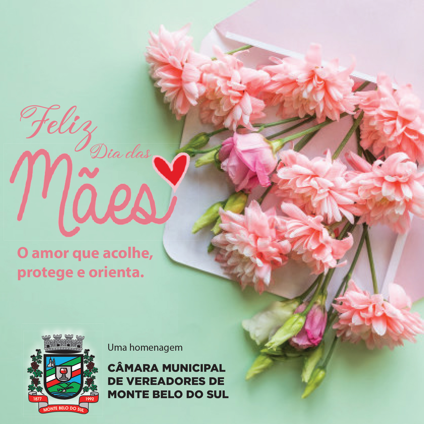 Feliz Dia das Mães