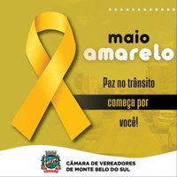 Maio Amarelo: Congresso participa da campanha mundial pela paz no trânsito