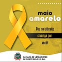 Maio Amarelo: Congresso participa da campanha mundial pela paz no trânsito